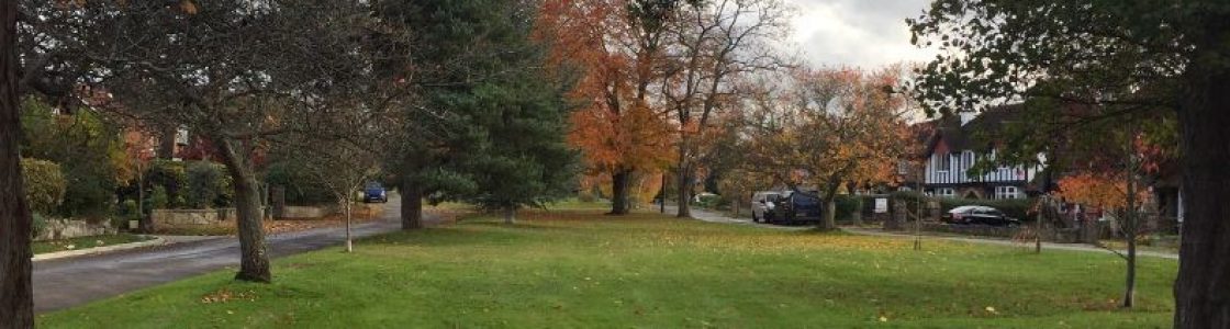 The-Green-in-autumn-2-header