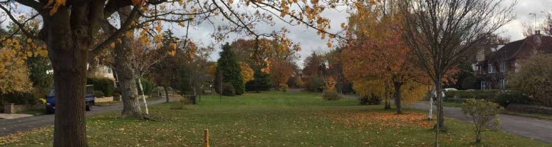 The-Green-in-autumn-3-header