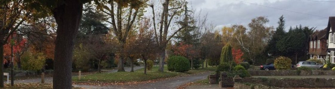 The-Green-in-autumn-6-header