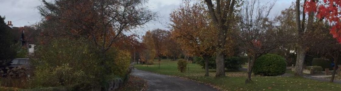 The-Green-in-autumn-7-header