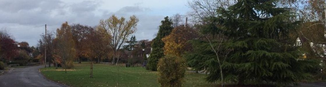 The-Green-in-autumn-8-header