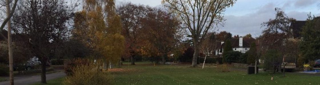 The-Green-in-autumn-9-header